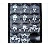 Buy cheap White PET AGFA Medical Dry Film from wholesalers