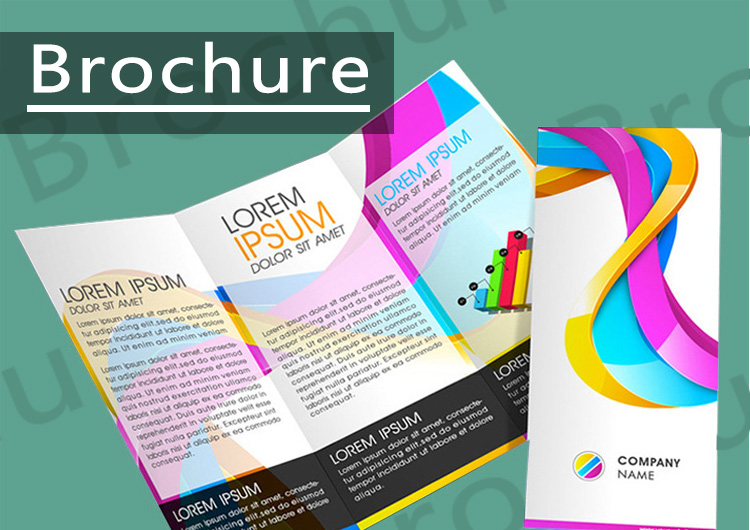 Saddle Stitching Custom Brochure Catalogue Pamphlet Booklet Printing Services