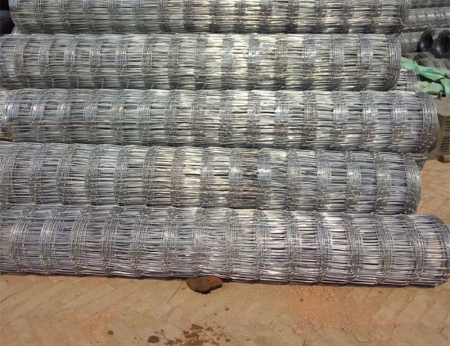 Galvanized Field Wire Mesh screen Fence Hinged Knot For Cattle 50m