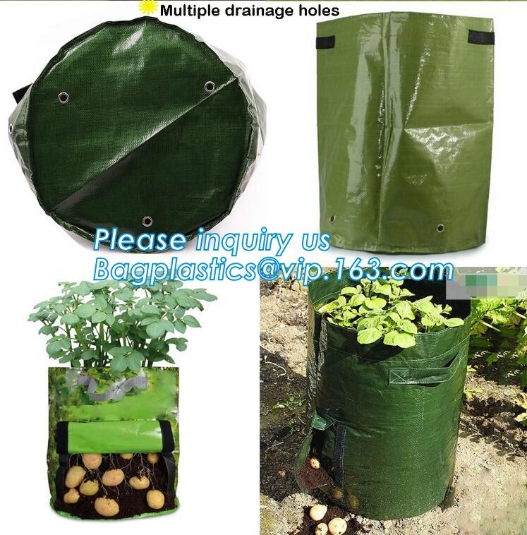 China factory supply irrigation system pe pipe price Ldpe pipe,25mm Garden irrigation PE pipe,Polyethylene PE Flexible P