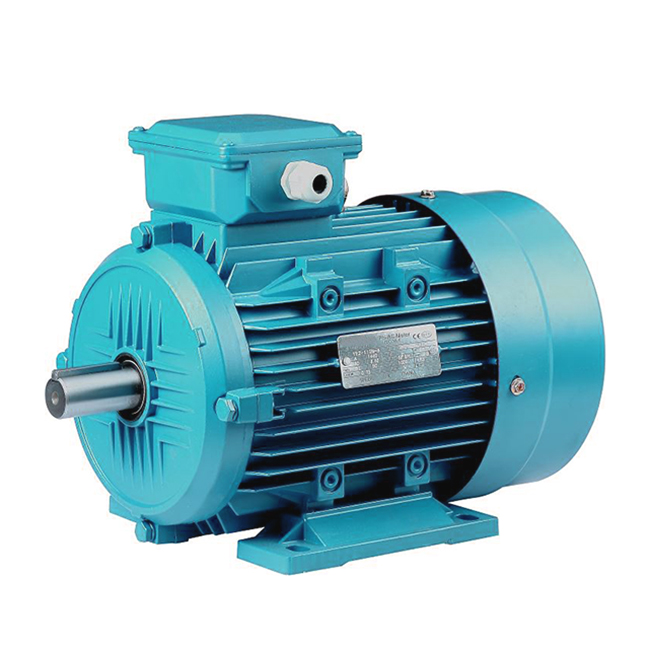 three phase electric motor