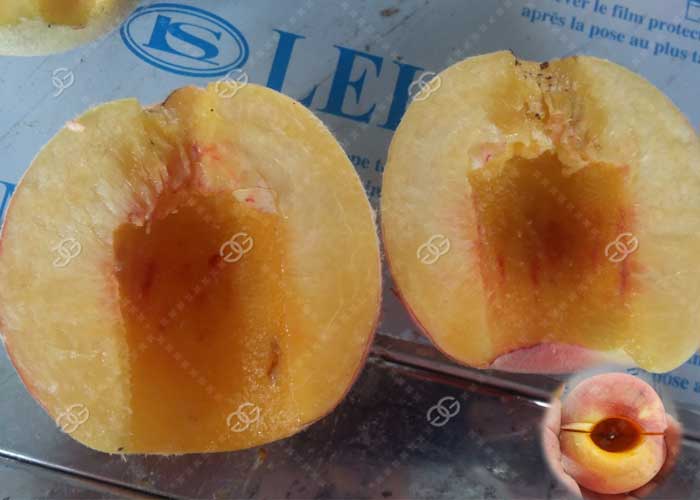 peach pitting machine for sale
