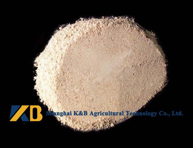 High Protein Content Rice Protein Powder Feed Grade With Yellowish Colour