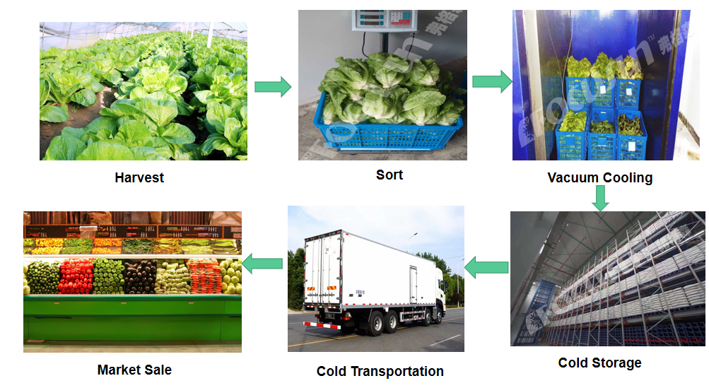 Industrial Fruit Vegetable Vacuum Cooler with Provided Video Outgoing-Inspection
