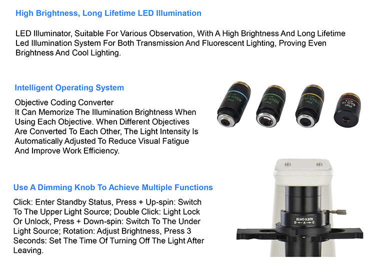 OPTO EDU A16.1064 Inverted Fluorescent Microscope B G U Long Working Distance