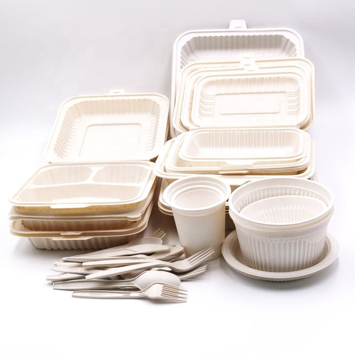 Compostable 1000ml 34oz PLA Tableware with lid 230x160x48cm