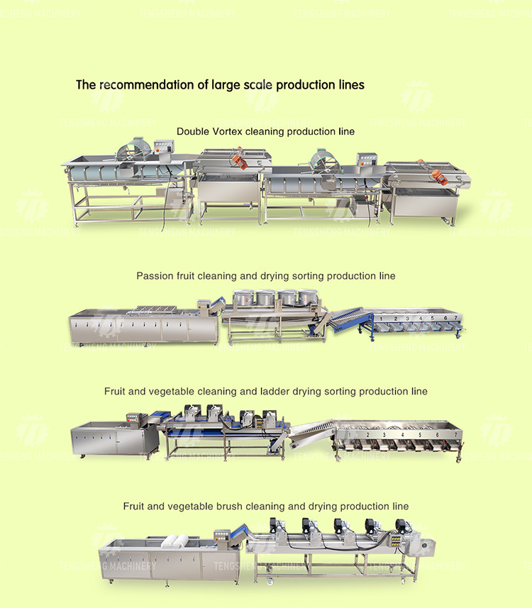 280KG Fruit sorting size picking machine stainless steel material specifications can be determined for sorting potatoes