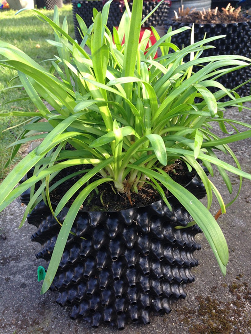 garden pots for sale planting pots cheap plant pot