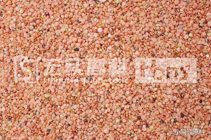 New Type 504 Channels Intelligent Lentils CCD Colour Sorter Manufacturer