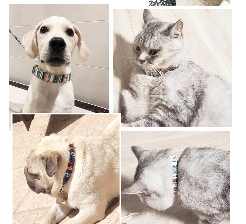 Silver Nameplate Buckle Personalized Puppy Collars Print Pattern For Dogs