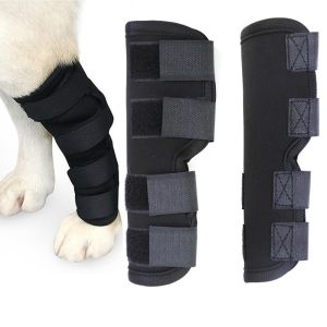 Buy cheap Pet Knee Pad product