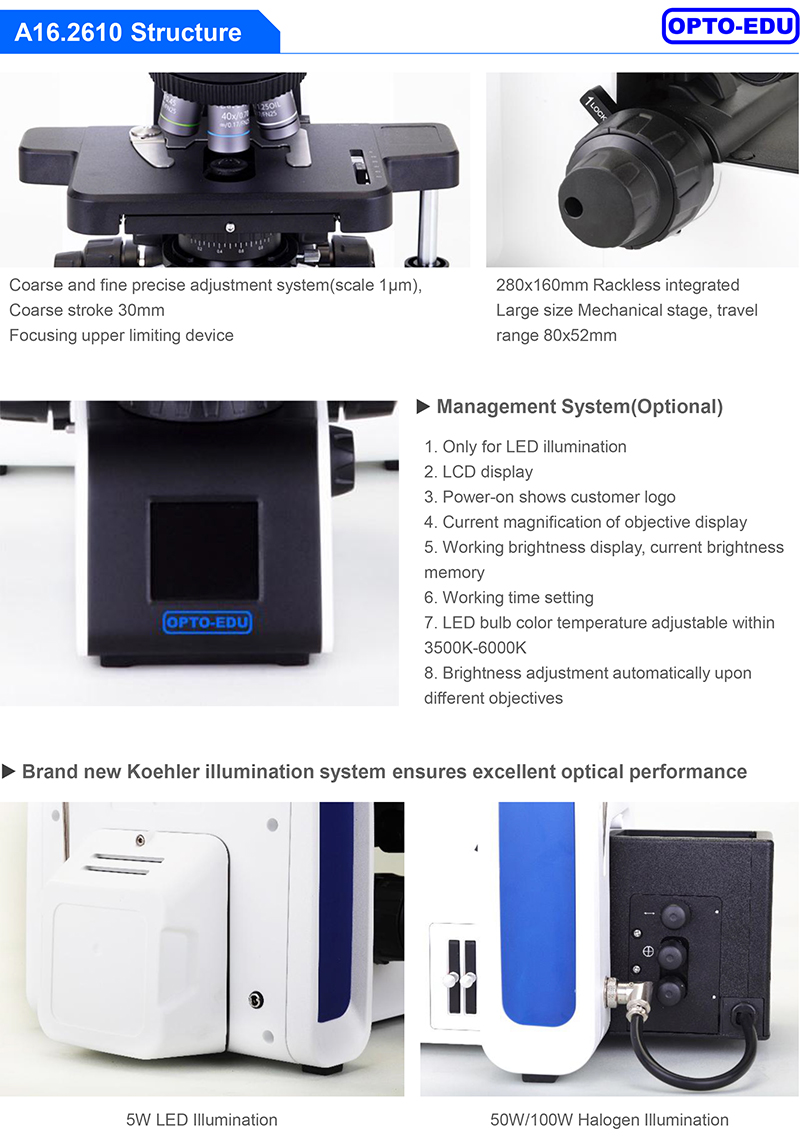 OPTO-EDU A16.2610 Trinocular 1000X Ultra LED Fluorescent Microscope