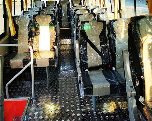 Dongfeng AWD 4x4 Mini Tourist Bus and Luxury Passenger Experience with 7.50R20 Tyres