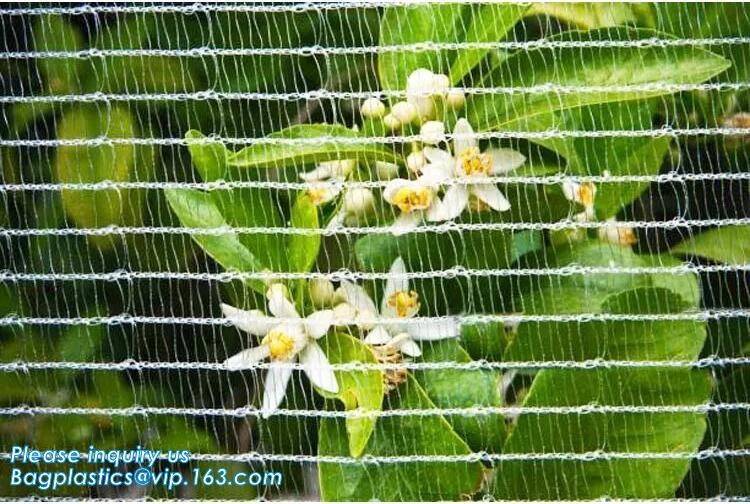100% new HDPE insect mesh / anti bird net for apple trees,greenhouse anti insect net for plant, agriculture net Anti-ins