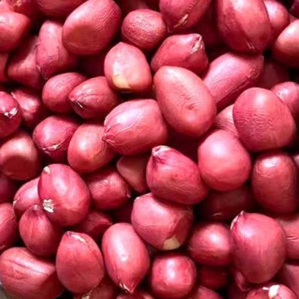 BRC KOSHER Verified Best Price Japanese Snacks Corn Flavor Roasted Coated Peanuts Snack