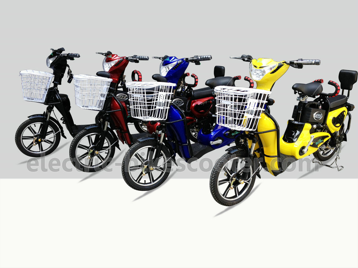City Pedal Assist Electric Bike 16 Inch Wheel 450W Dual Seat Digital Style