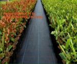 weed barrier for agriculture, weed killer fabric, agricultural anti weed mat,