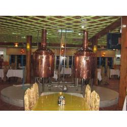 China Micro Hotel Beer Factory Machine Small Scale Brewing System 1000L 3mm Thickness for sale