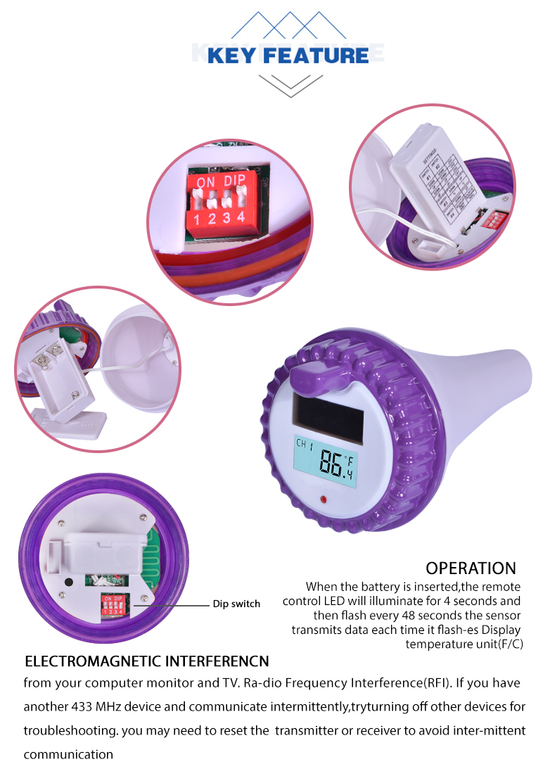 WT0224 Custom Wireless Swimming Pool Thermometer Floating Waterproof Digital Thermometer For Outdoor