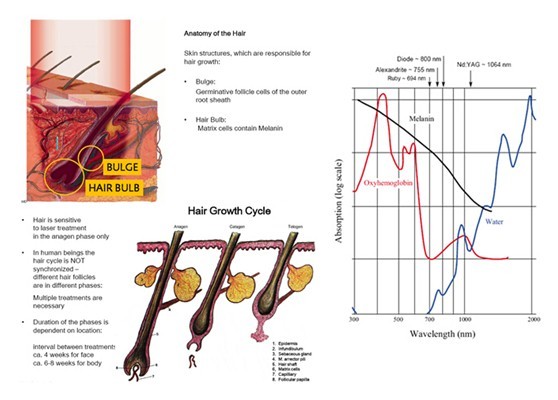 4h Diode Laser Hair Removal Equipment Design Oem Odm