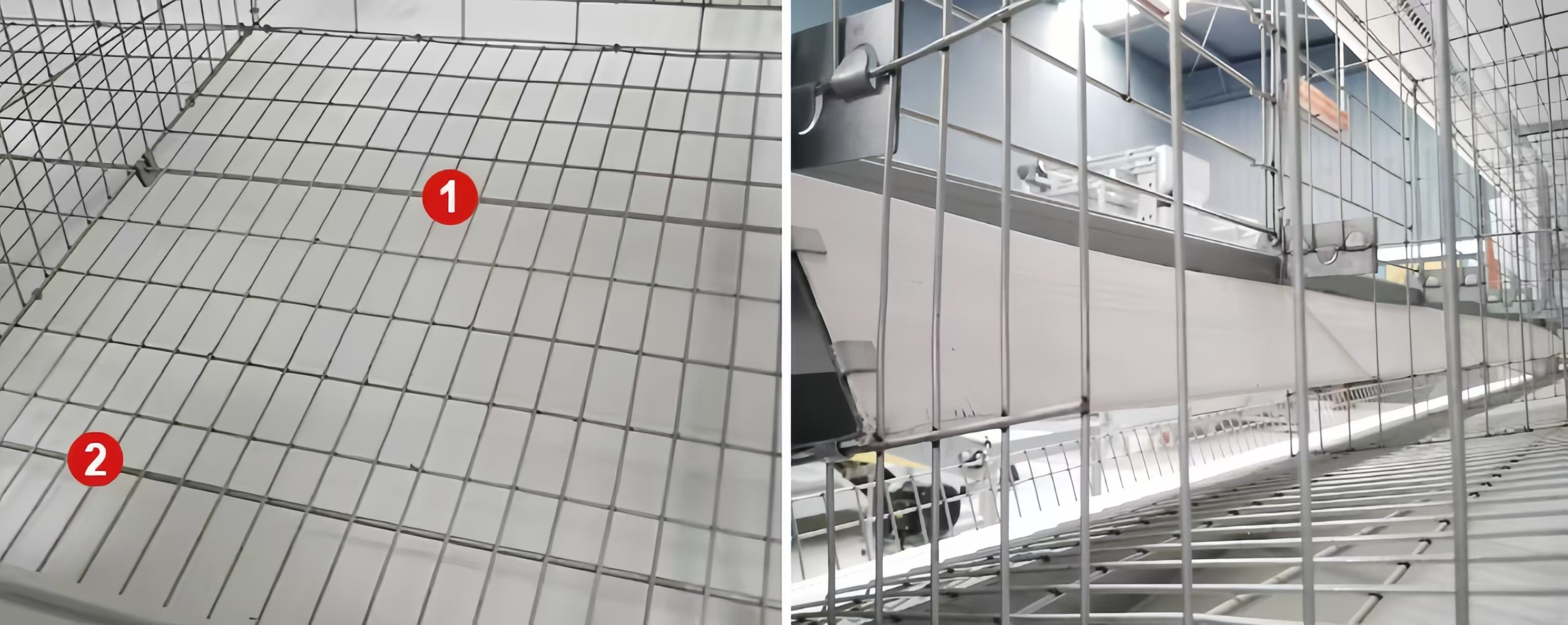 Easy Install Broiler Chicken Cage Automatic Chicken Feeding System For Poultry