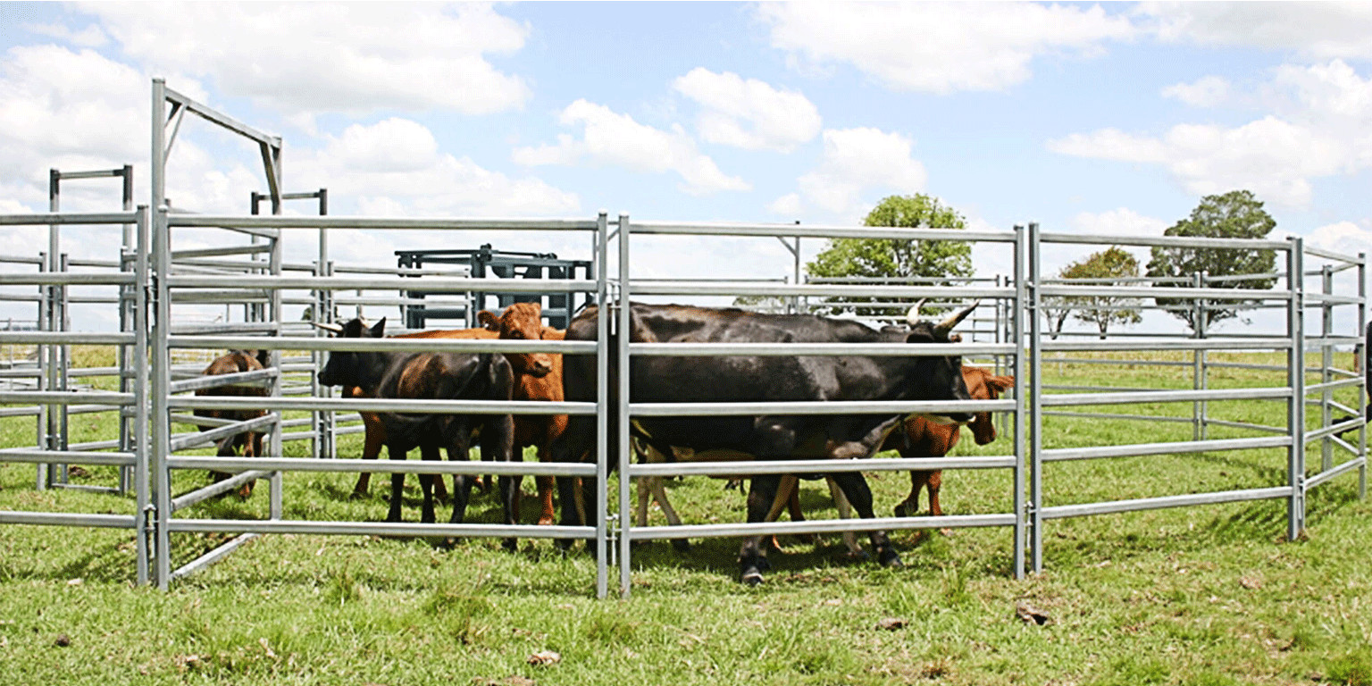 16 Round Corral Panels Inc Gate, Round Yard, Cattle Fences, Corral 11m Diameter