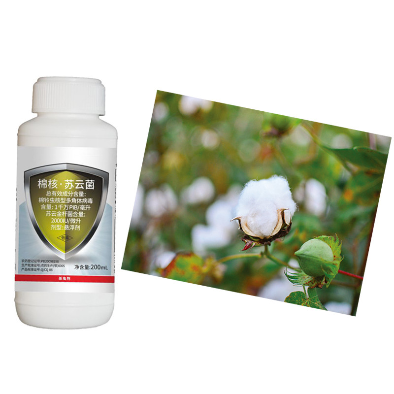 Organic HaNPV & Bt WP Cotton Crop Pesticides maize army worm corn pests effective