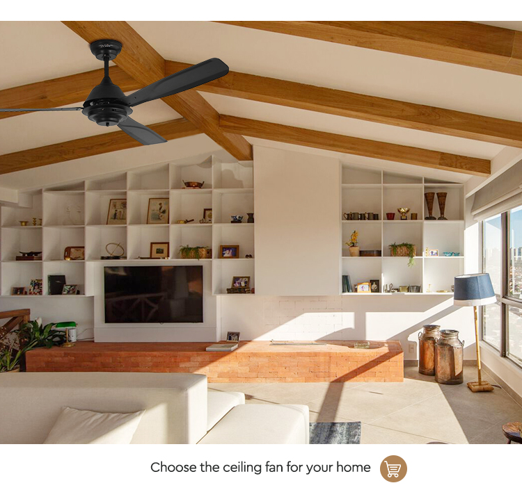 ceiling fan
