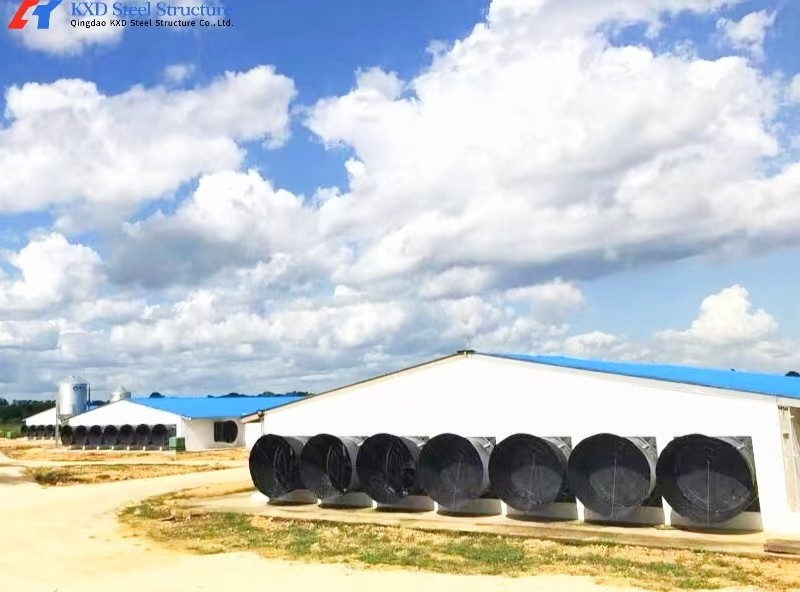 Steel Poultry House Equipment Automatic Customized Broiler Feeding System