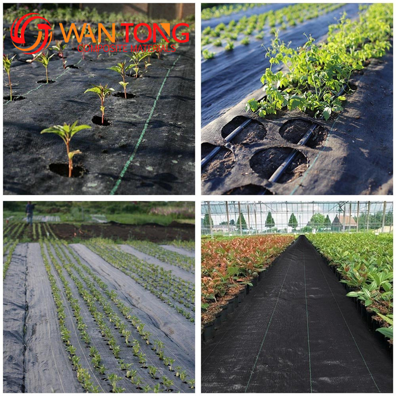 Polypropylene 90g Anti-Grass Agro Textile Weed Control Mat for Farming Applications