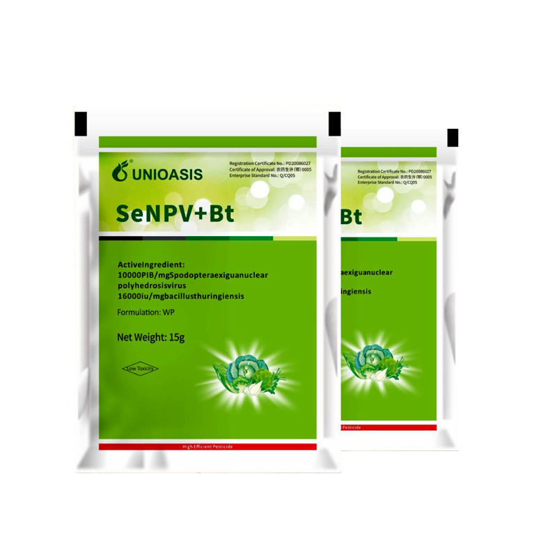 Ecological Tomato Pesticides Bacteria Bacillus Thuringiensis Efficiency for Vegetable Pests Killing