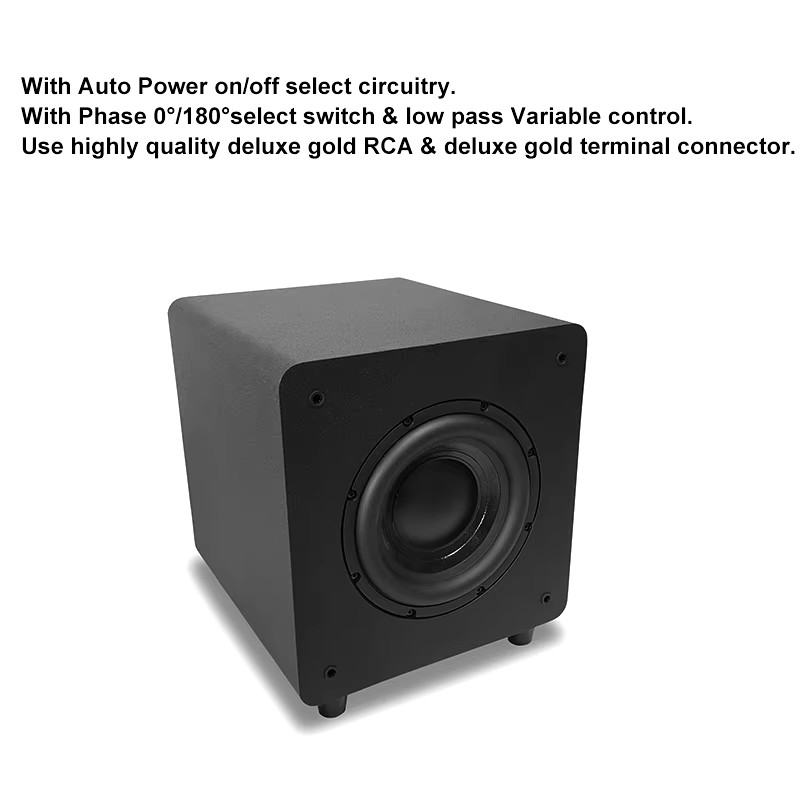MDF Wooden Home Active Subwoofer With 10 Inch Woofer Driver Low Pass Filter 100 Watts