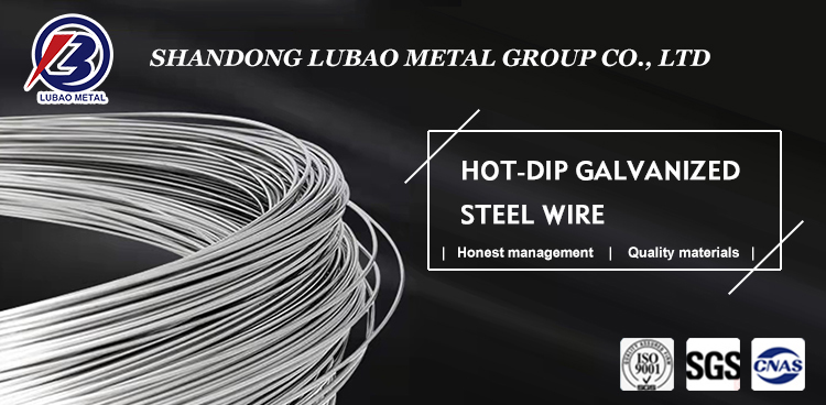 Technique Hot Rolled Based Galvanized Electric Fence Wire 1.6mm Q195 Q235 Galvanized Steel Wire for Fencing