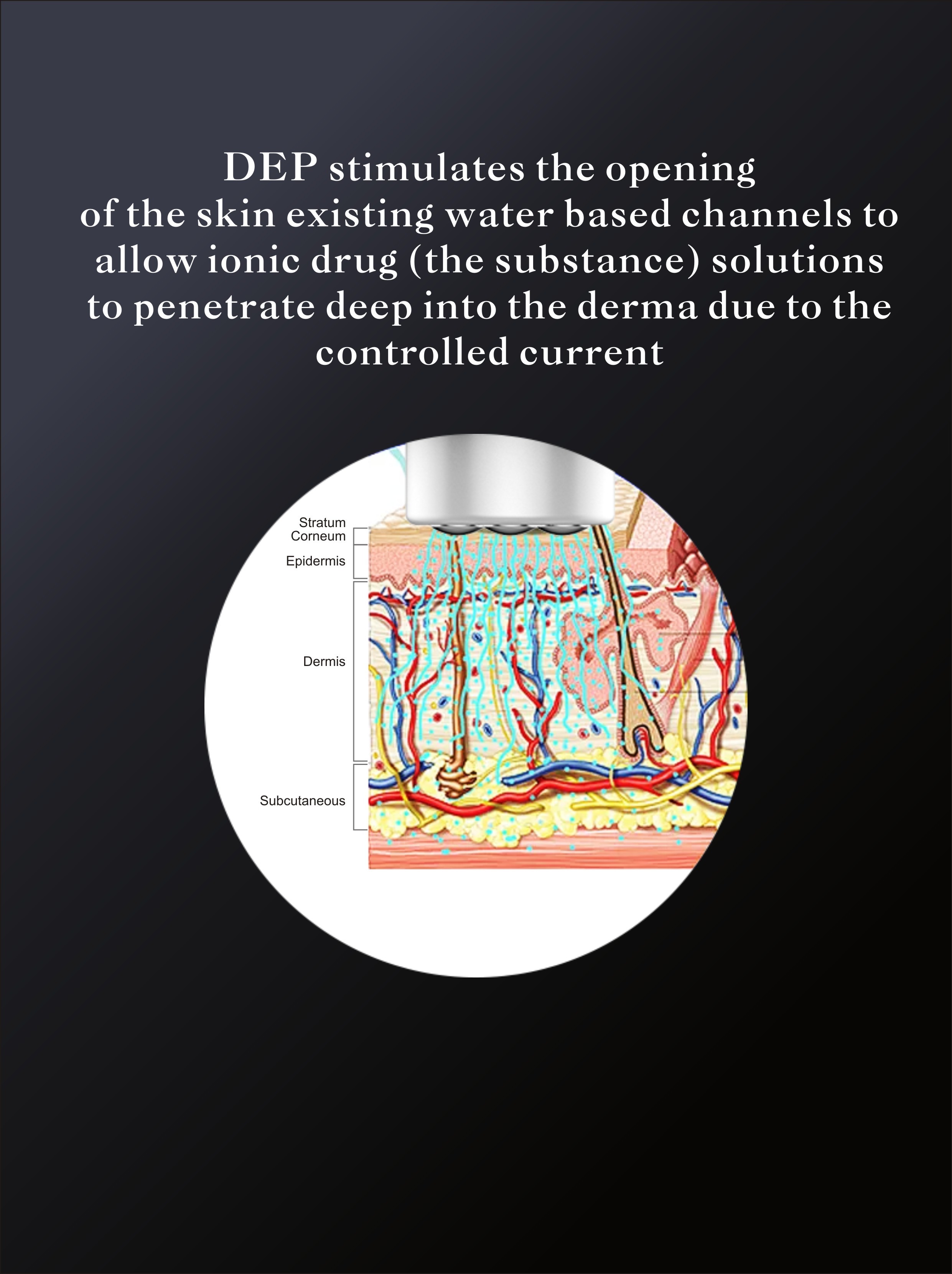 Commercial Non Invasive Skin Rejuvenation Machine , Stand Alone Skin Tightening Machine