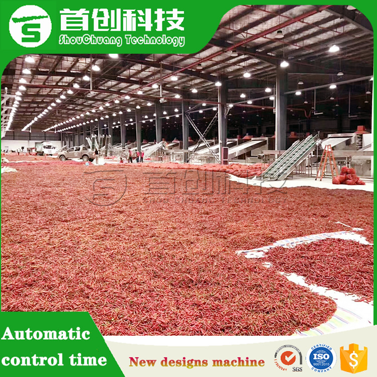 Hot Pepper Drying Processing Line Automatic Chili Dryer Machine For Vegetable Fruit