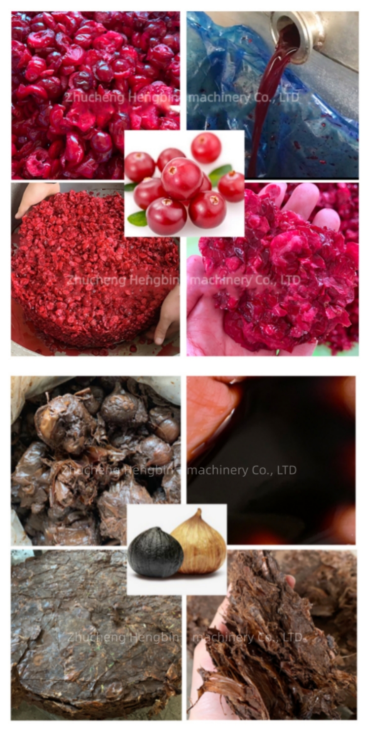 600kg/h Capacity Commercial Hydraulic Cold Press Juicer Extractor for Easy Operation