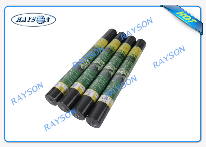 PP Material Non Woven Biodegradable Landscape Fabric For Ground Cover / Anti Weed