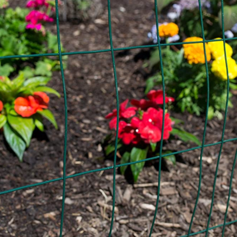 1/2 3/4 1 inches PVC Plastic coated chicken wire mesh chicken wire nettingwire mesh for chicken coop