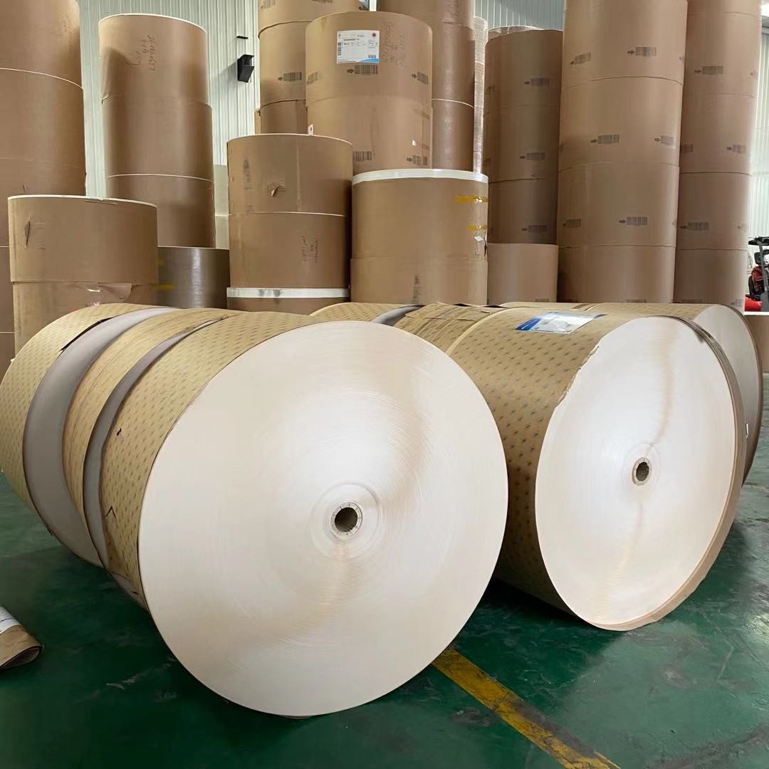 Oilproof Single PE Coated Paper Roll Waterproof Smooth For Cup