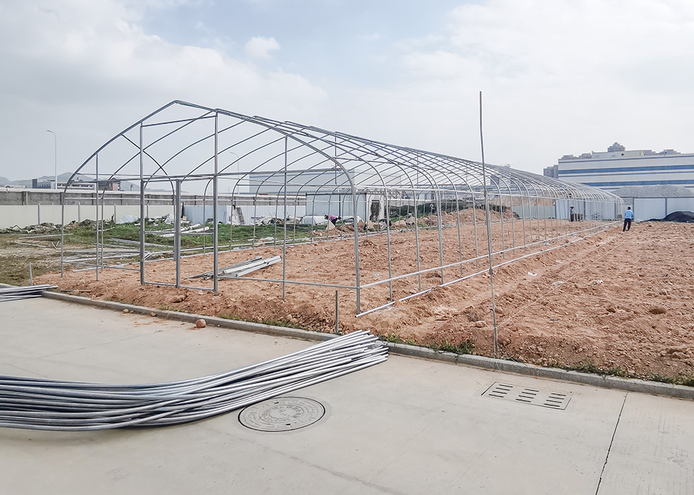 Poly Plastic Polytunnel Greenhouse Good Light Transmittance For Seedling