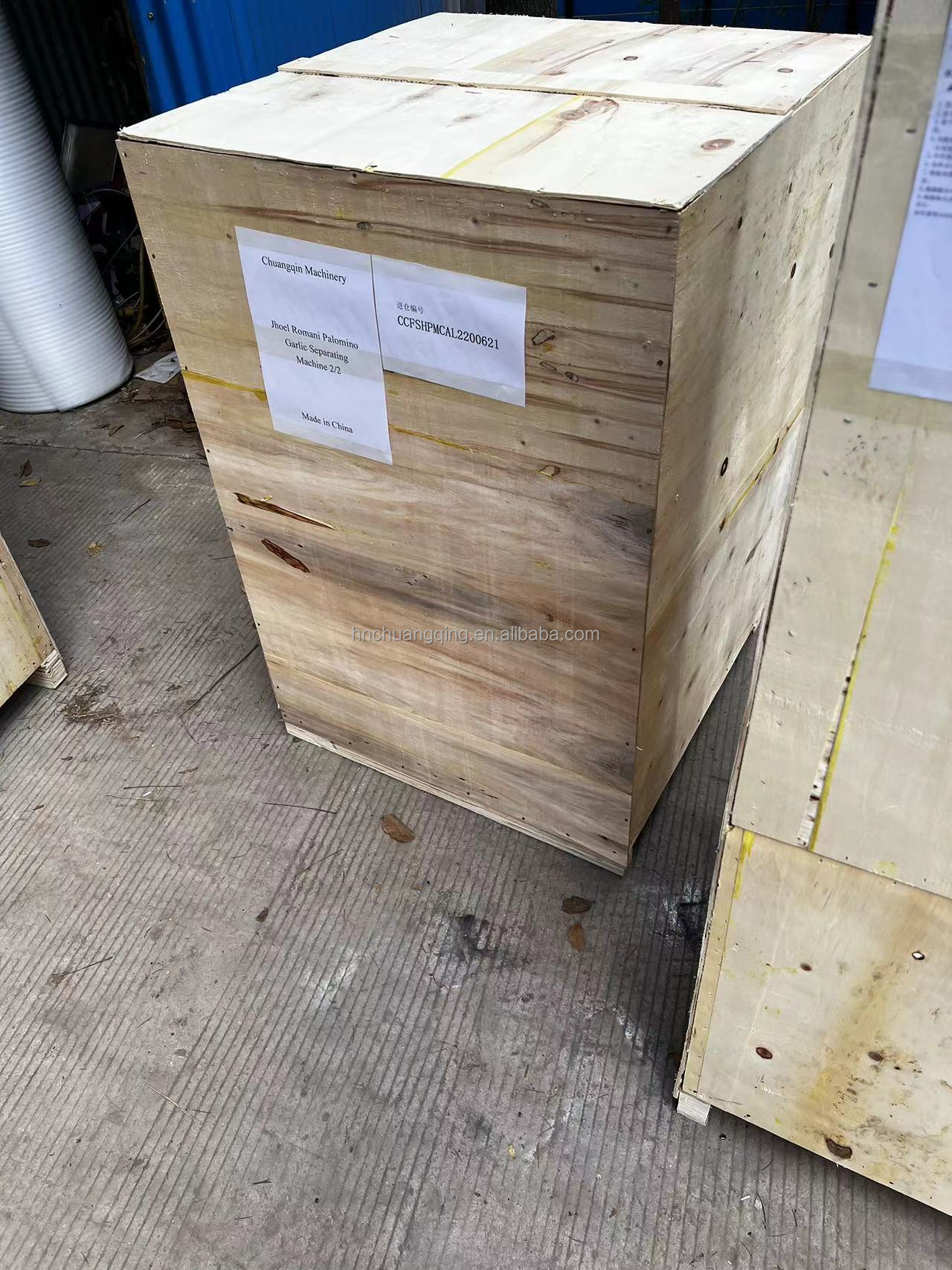 Dry Electric Garlic And Ginger Peeling Machine 30kg/H