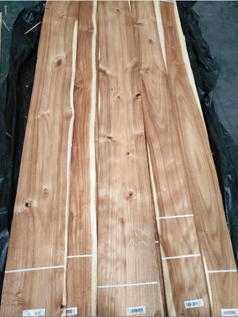 Acacia Natural Wood Veneer Knotty Acacia Exotic Wood Veneers for Furniture Doors & Veneered Plywood