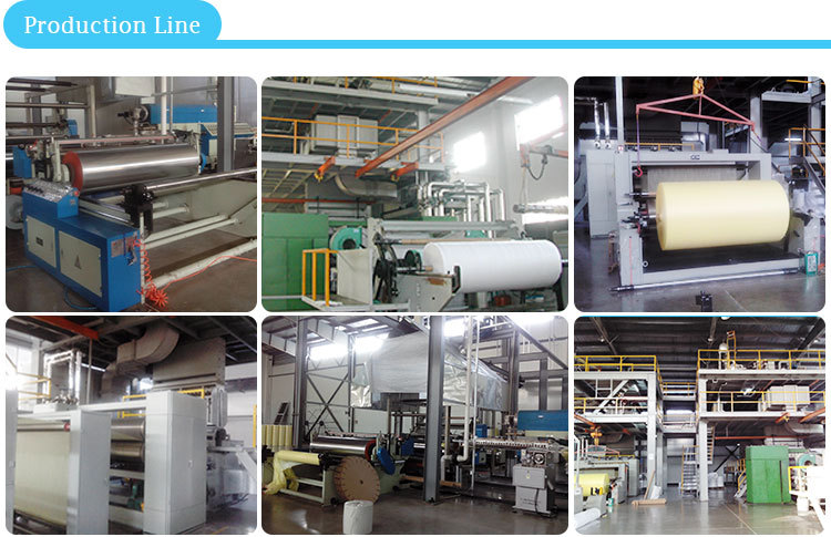 2015 new products pp fabric for nonwoven bag raw material S-9-355