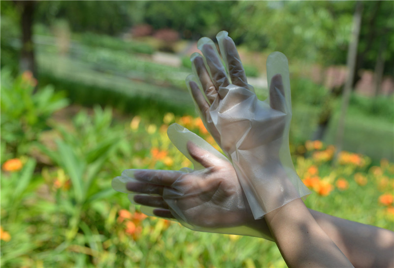 Hygienic Anti Allergic Disposable TPE Gloves For Household Cleaning