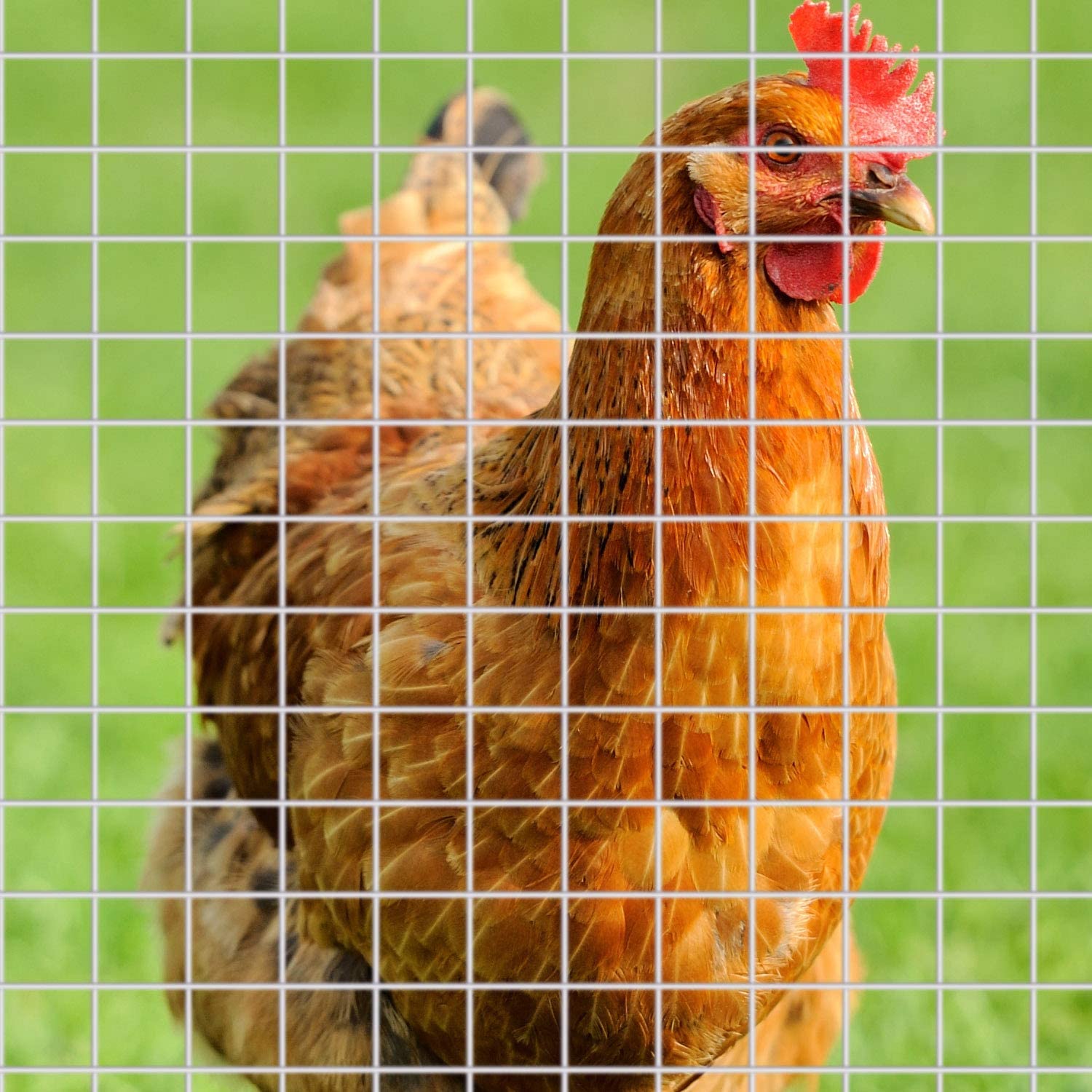 Hot Selling Good Quality New Product High Quality Welded Wire Mesh Fence