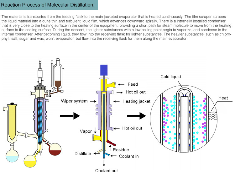 Wiped Film Distillation Equipment Cbd Oil Laboratory new