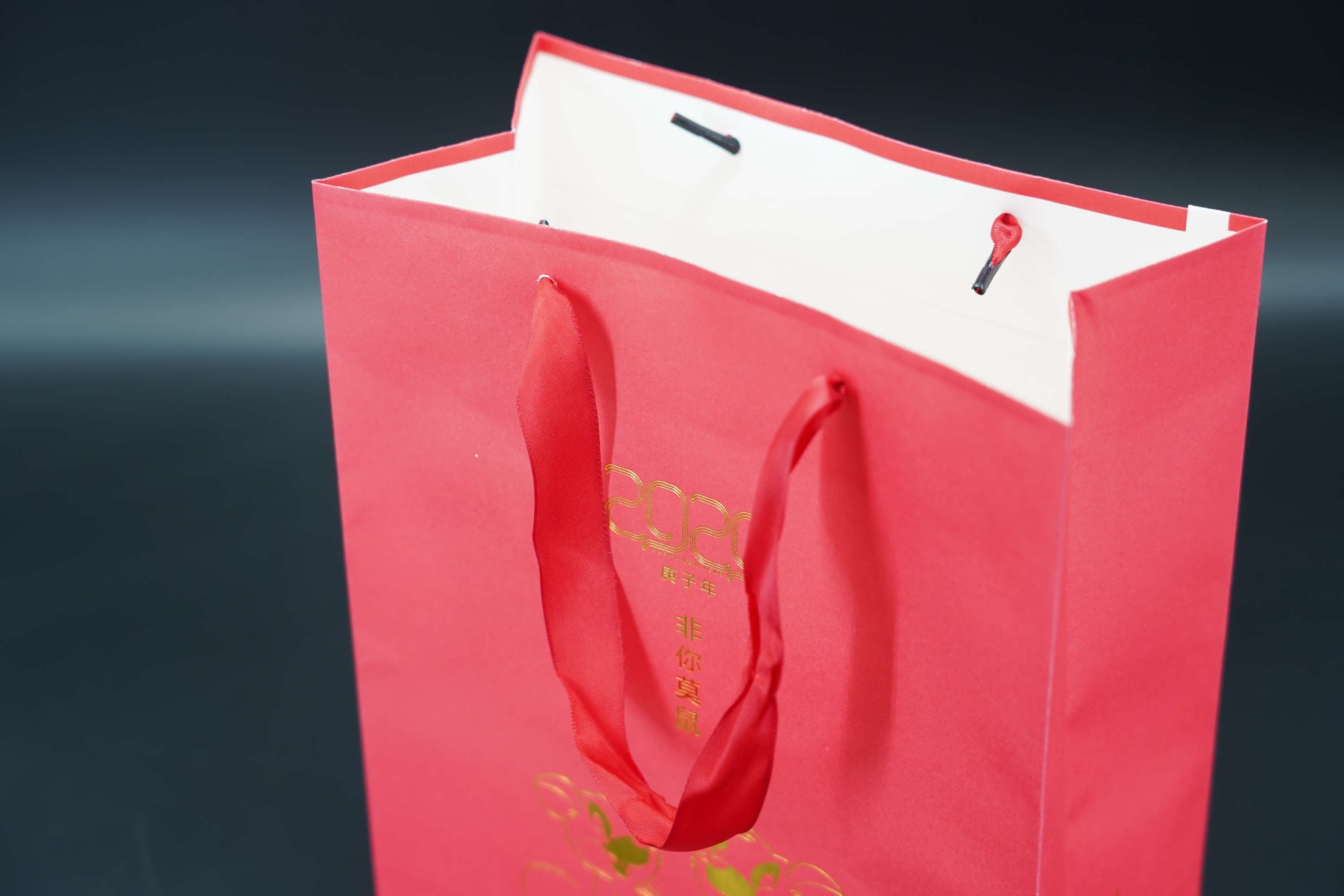 Reusable Kraft Shopping Paper Bags With Ribbon Handles Printing Design