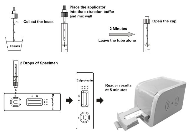 10T Calprotectin Rapid Test Cassette Quantitative Detection Calprotectin Fecal Test