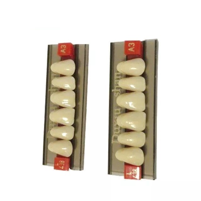 Dental Materials Multi Layer Synthetic Dental Resin Dentures Teeth FDA