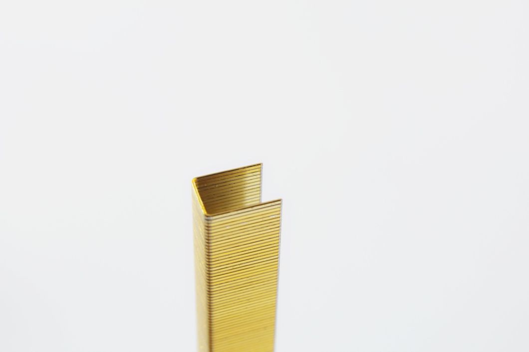 22 Gauge 1410 Staples for Upholstery with High Quality 14 Series
